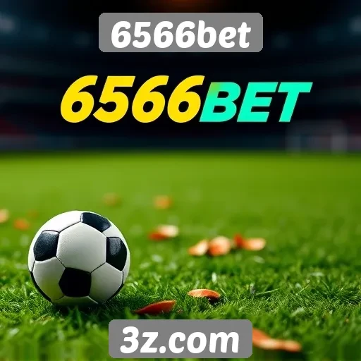 Reputação e confiabilidade do site 6566bet